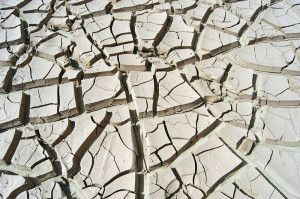 arid-cracked-ground